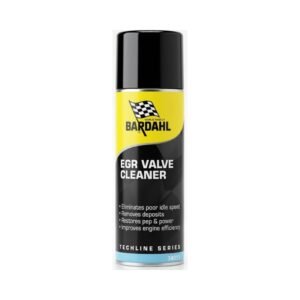 EGR Valve Cleaner
